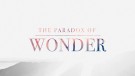 The Paradox of Wonder -The Wait Image